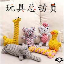 Small dog dog knots toy-resistant glue-resistant grinding teeth tedib bear Bomei puppies supplies