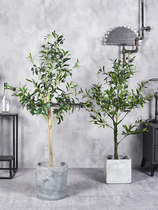 ins Nordic simulation green plant potted olive tree floor-to-ceiling large fake plant ornaments Indoor home net red decoration