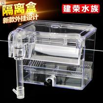 Fish tank hanging algae box external algae tank sea tank female fish mini parrot fish breeding protection small fish baby isolation box