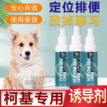 Kokie Special Pee Pee Pet Inducing Agent Pooch Defecation and Pinpoint Training Theorgy Guide Lashit Supplies Defecation