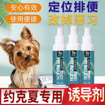 Yokha Special Pull Poop Guide God Instrumental Inducible Dog Defecation Dog Defecation Prevention Dog Urinals Toilet