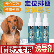 Sausage Dog Special Pee pet Defecation Prevention Dog Urine Inducers Pooch Defecation Dog Defecation and Pinpoint Training Location Supplies