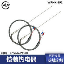 Armored thermocouple K-type electric couple WRNK-191 flexible temperature measuring probe E-Type J-type PT100 thermal resistance