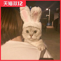 Cat headgear pet cap dog headdress cute funny rabbit dog accessories funny cat hat supplies rabbit ears