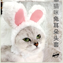 Cat headgear funny pet cat dog cute transformation dress up Cute funny funny headgear hat photo props jewelry