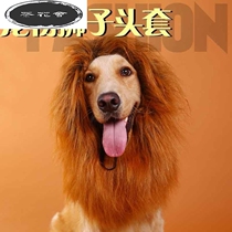 Dog headdress Pet golden retriever funny lion head cover Bib styling hair accessories decorations Funny headdress transformation outfit