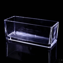 Desktop transparent glass vase hydroponic rectangular water plant container creative fish tank flower pot Ware