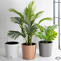 Nordic round flowerpot large living room floor lazy self-absorbent plastic golden light extravagant large flowerpot