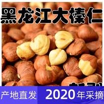 Hazelnut kernel New northeast specialty cooked hazelnut original big hazelnut pregnant woman cooked nut bulk 500g pine tree