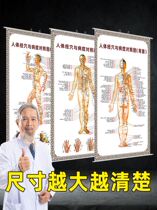 Human Meridian acupoint map HD standard big real disease control picture pediatric massage facial massage back