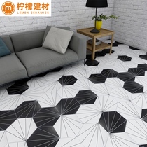 Ray hexagonal brick 200x230 balcony floor tile kitchen wall tile toilet tile Nordic style characteristic brick