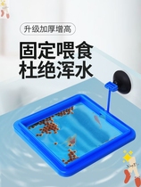  Fish tank feeder Aquarium fish food feeder Feeding circle Small fish Tropical peacock feed Buoyancy feeder