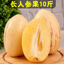 Yunnan people participate in fruit 10 catty of fresh extra-life fruit and fruit whole box terrosans Third-season long personal fruit