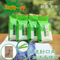 Authentic Rizhao Green Tea 2021 New Tea Spring Tea 500g buds Shandong Rizhao Green tea flagship store chestnut incense