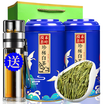 Mohe authentic origin rare white tea 2021 new tea Non-special grade Mingqian White tea Gold bud spring tea Green tea in bulk