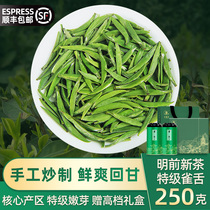 2021 New tea Bird tongue Green Tea Premium Mingqian fragrant Alpine Spring Tea buds Bamboo leaves Mao Jian Tea Bulk 250g