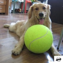 Dog oversized tennis toy 24cm inflatable tennis pet toy 9 5 inch bite toy ball medium large dog