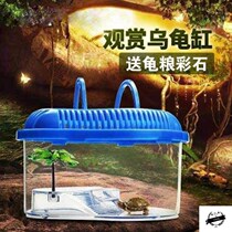 Climbing pet breeding box amphibious box small turtle tank Gougong horned frog box with drying table plastic turtle box horned frog feeding box