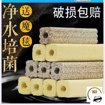 Fish tank filter material House filter ball biochemical ball nitrification House no1 nano ball ball ball