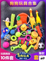 Dog toys bite-resistant puppies puppy toys molars golden hair Teddy large dogs to sound the ball to relief pet supplies