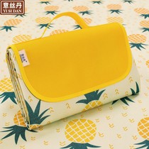 Picnic mat outing mat ins outdoor portable mat pastoral picnic cloth waterproof moisture-proof mat picnic supplies