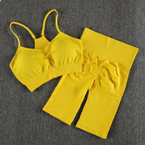 Spring and autumn training sports suit female push-up high waist fitness two-piece suit female beauty back bra seamless shorts