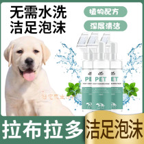 Labrador special god instrumental cleaning supplies dogs free of washing foot foam deodorising pets foot claw washing feet