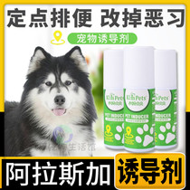 Alaska Special Training Toilet Liquid Training Dogs Pinpoint Toilet Defecation Inducers Bowels Guide Deity