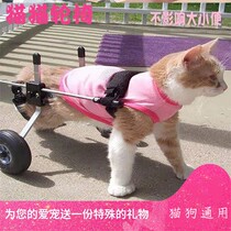 Cat wheelchair paralysis fracture pet hind leg spine injury rehabilitation training car hind limb disability walking cart