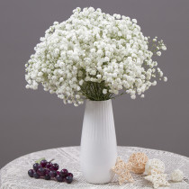 Gypsophila natural immortal air dry branch flower bouquet living room decoration pieces light luxury high-end high-end vase diy