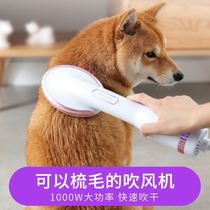 Dog hair dryer Hair pulling artifact Quick-drying Pet large dog special puppy hair blowing cat dryer Household