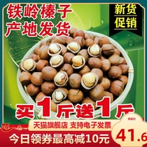 New stock Northeast wild hazelnut nuts thin leather opening fried in iron Ridge Terrific pregnant woman snacks fresh original flavor