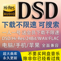 DSD Lossless music download HIFI Audiophile HIRES audio source 24Bit mastering SACD WAV Car video