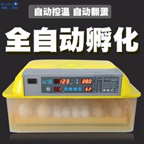 Incubator automatic home Icobete incubator automatic household incubator small chicken duck goose