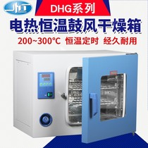 Electric blast drying oven laboratory digital display constant temperature oven industrial oven small drying box