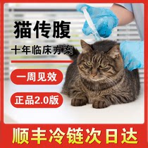 Cat abdominal treatment consultation anti-ascites dry and wet cat peritonitis fipv inhibitor needle water oral tablet test
