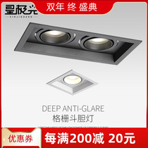 10*20 Dart light living room double head spotlight corridor three head ceiling downlight commercial square grille light adjustable
