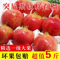 Sichuan Huili Tunis Pomegranate Seasonal fresh fruit Soft seeds Sweet pomegranate Multi-specification FCL