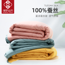 Judream Silk Workshop Silk Quilt 100% silk Spring and autumn quilt air conditioning by the core thin quilt Xia cool quilted by thin quilt
