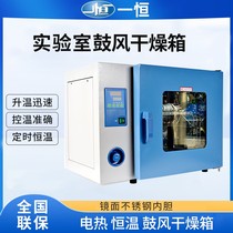 (One Heng) drying oven laboratory 9030A oven industrial electronic electric heating constant temperature blast drying oven