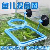 Fish food feeding ring fish feeding ring feeding ring fish tank large large fish feeder floating material fixed fish feeding ring