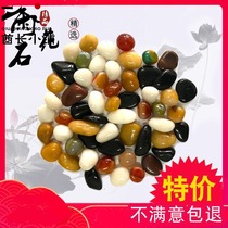 Natural rain flower stone pebbles fish tank landscaping original stone small white stone colorful stone goose soft stone Pebble Pebble colored stone