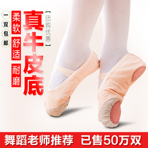 Adult childrens dance shoes womens soft bottom summer practice Cat Claw Boys and girls dance shoes red and white body Chinese Ballet