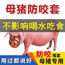 Sow anti-bite mouth sleeve Anti-bite piglets piglets artifact Pig mouth sleeve Horse cow and sheep mouth sleeve Anti-food pig special