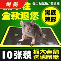 Mouse board super strong glue Post RAT Board strong occupy sticky mouse version powerful big Zhang catch stick mouse artifact paste thick
