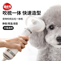 Dog hair dryer Hair pulling artifact Quick-drying Small dog cat bath all-in-one machine Pet drying hair blowing wind comb