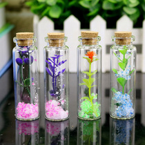 24 Glass Craft Frozen Romance Magic Bottle Creative Student Childrens Kindergarten DIY Cork Wishing Bottle