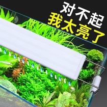 Fish tank ornamental lights fish tank lights LED lights aquarium energy-saving lights waterproof lights grass tank diving small clip lights