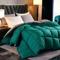 Duvet 95 white goose down quilt thickened winter quilt double single spring and autumn white duck down student winter warm quilt core