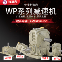 WPA reducer wpo wpx Turbo Worm gear transmission small and medium gearbox vertical reducer WPS